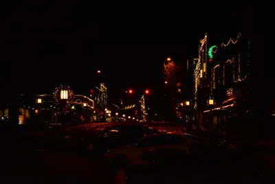 DSC_5865 (Large).JPG